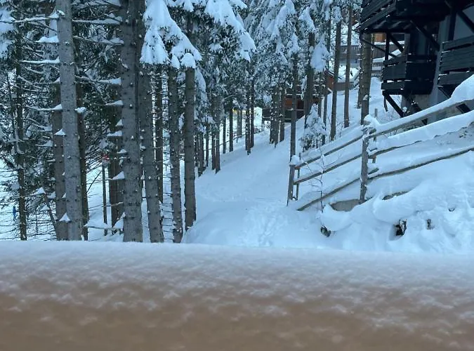 Apartma Med Smrekami Golte