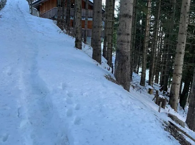 Lejlighed Apartma Med Smrekami Golte Mozirje